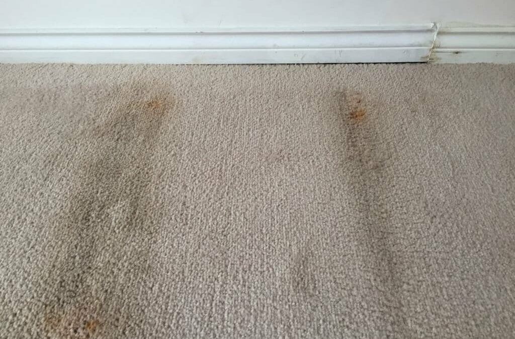 Glasgow Carpet Disposal Guide