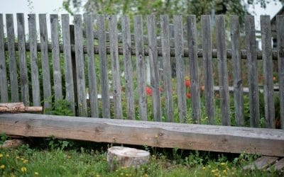 The Simplest Approach To Dispose Of Garden Fence Panels